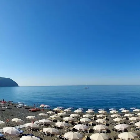 A Due Passi Dalla Apartament *